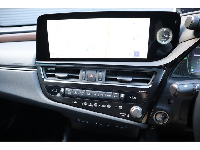LEXUS ES300h