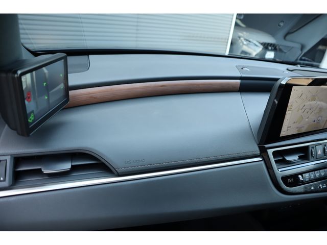 LEXUS ES300h