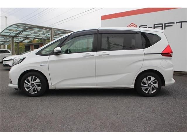 FREED plus HYBRID