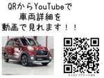CAST ACTIVA 4WD
