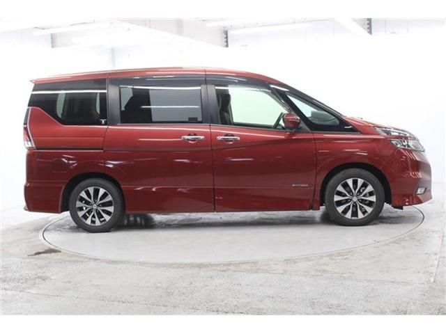 SERENA  S-HYBRID