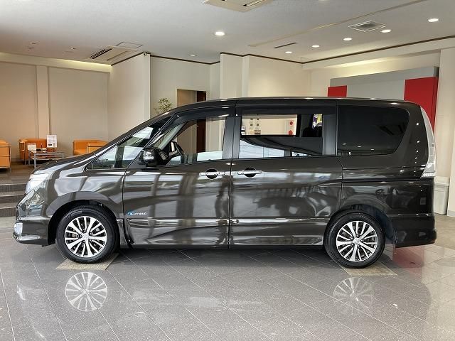 SERENA  S-HYBRID