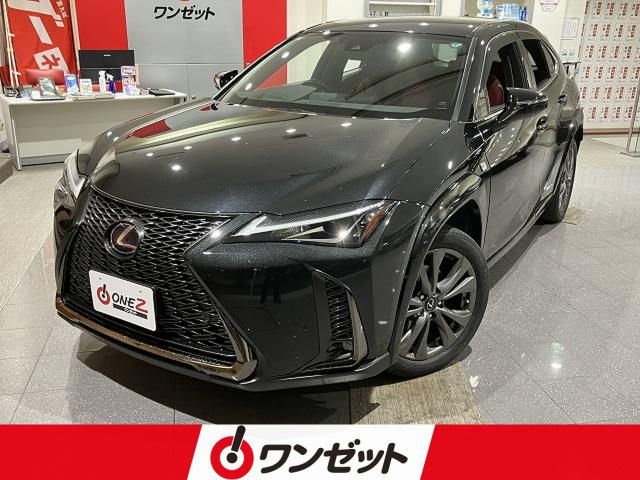 LEXUS UX250h