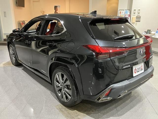 LEXUS UX250h