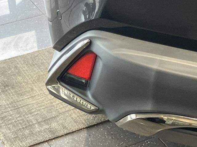 LEXUS UX250h