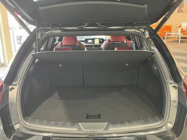 LEXUS UX250h