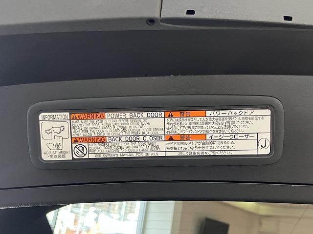 LEXUS UX250h