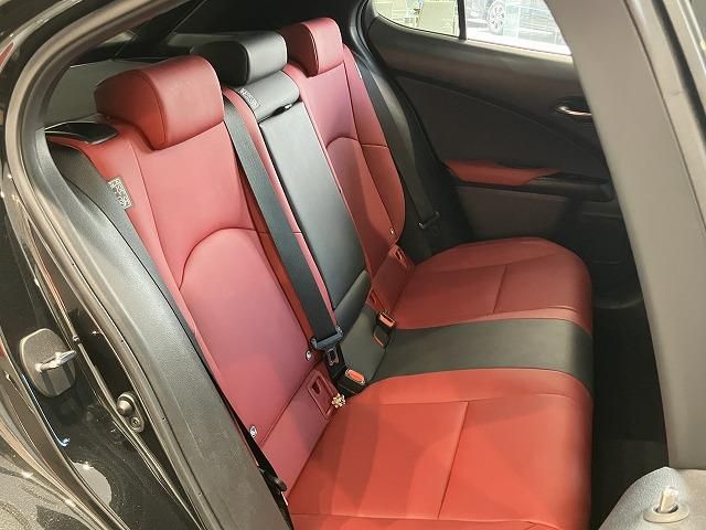 LEXUS UX250h