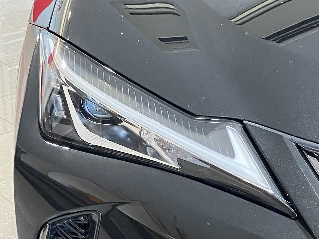 LEXUS UX250h