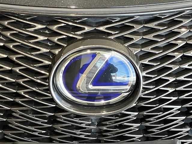 LEXUS UX250h