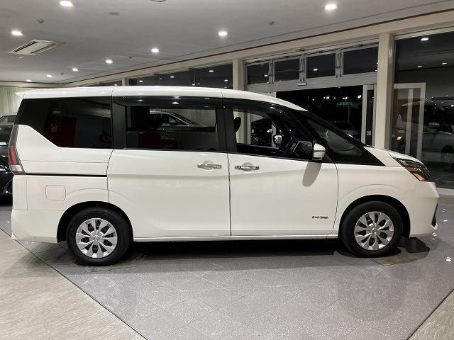 SERENA  S-HYBRID