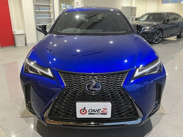 LEXUS UX250h
