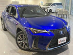 LEXUS UX250h