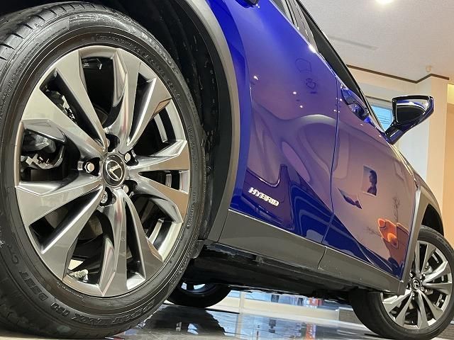 LEXUS UX250h
