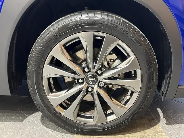 LEXUS UX250h