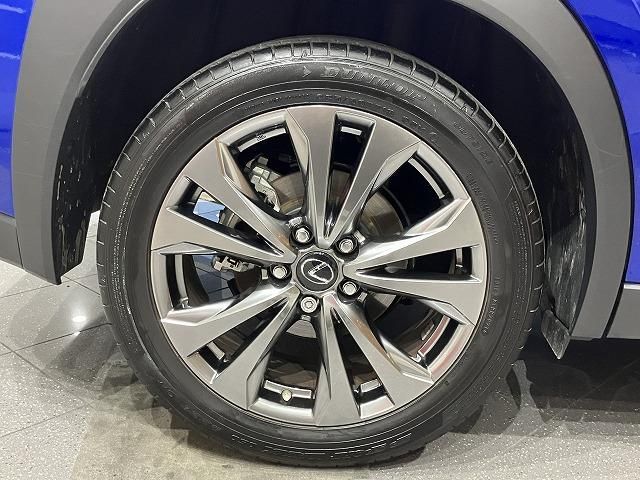 LEXUS UX250h