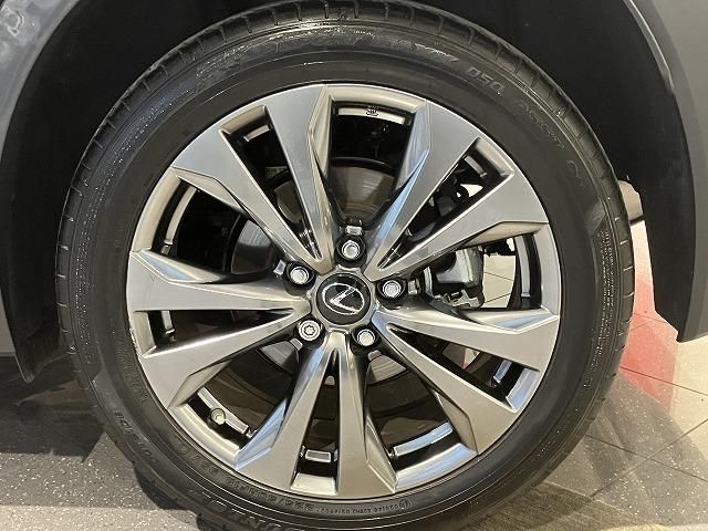 LEXUS UX250h