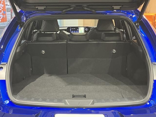 LEXUS UX250h