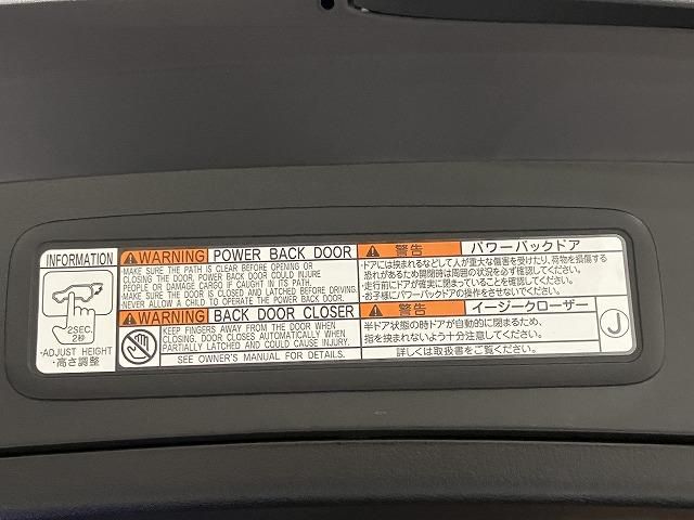 LEXUS UX250h