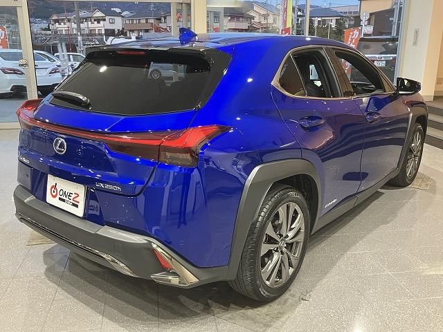 LEXUS UX250h