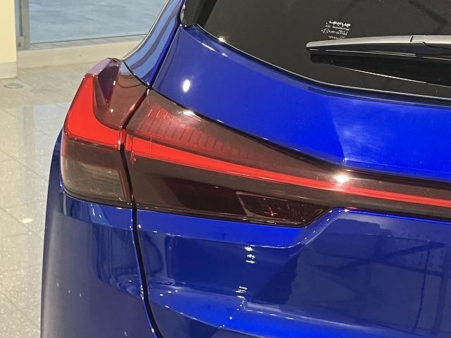 LEXUS UX250h