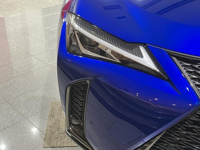 LEXUS UX250h