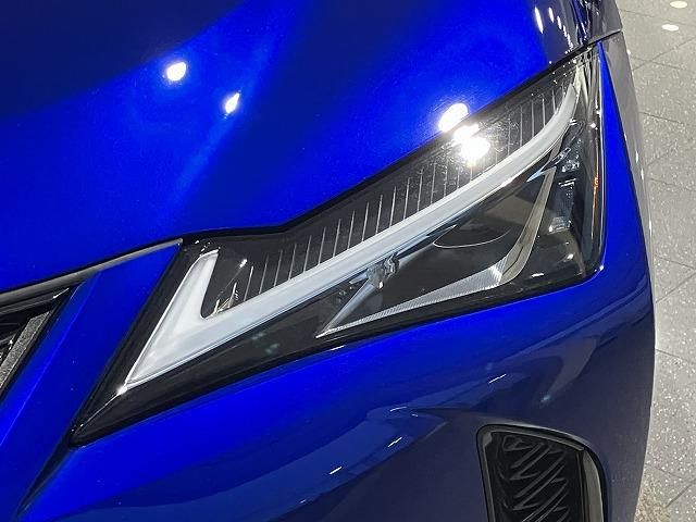 LEXUS UX250h