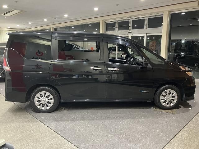 SERENA  S-HYBRID