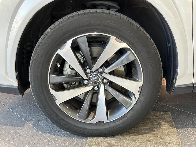 LEXUS NX300h