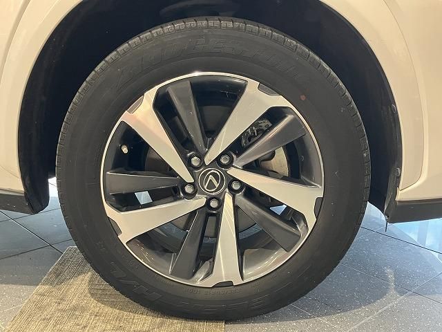 LEXUS NX300h