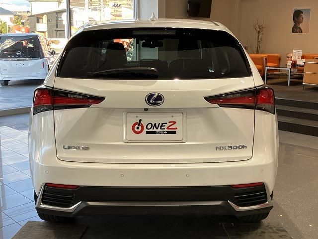 LEXUS NX300h