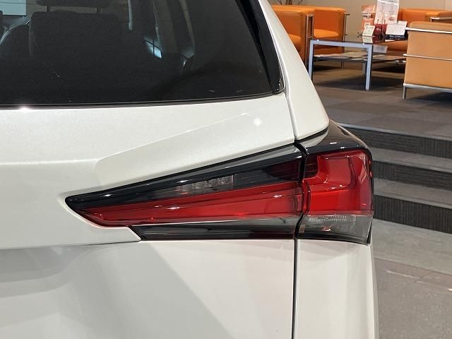 LEXUS NX300h