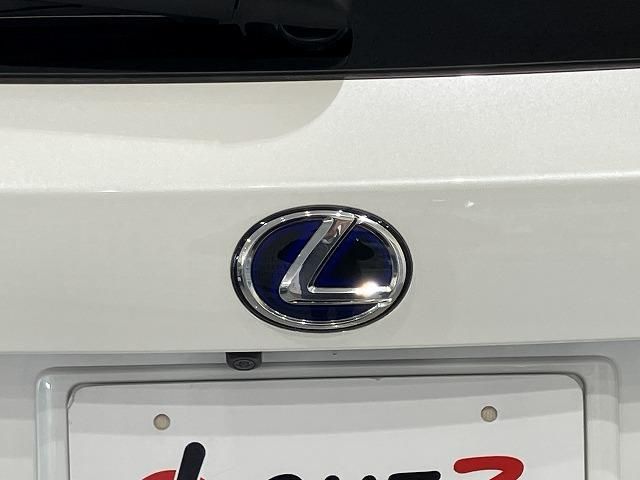 LEXUS NX300h