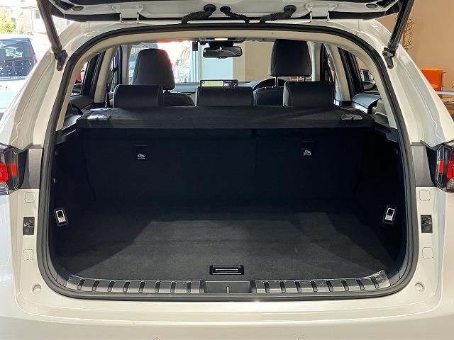 LEXUS NX300h