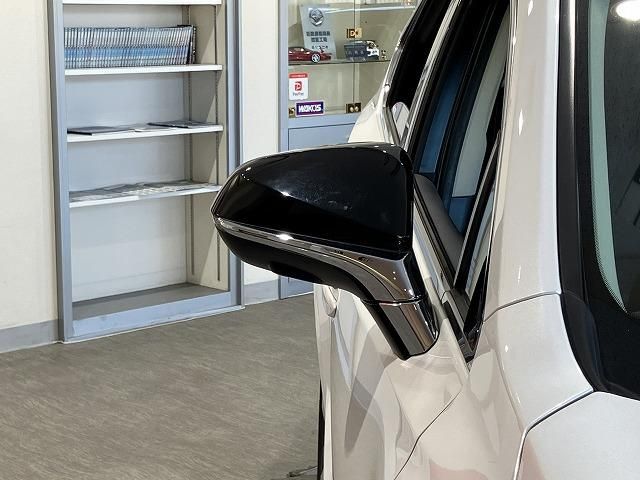 LEXUS NX300h