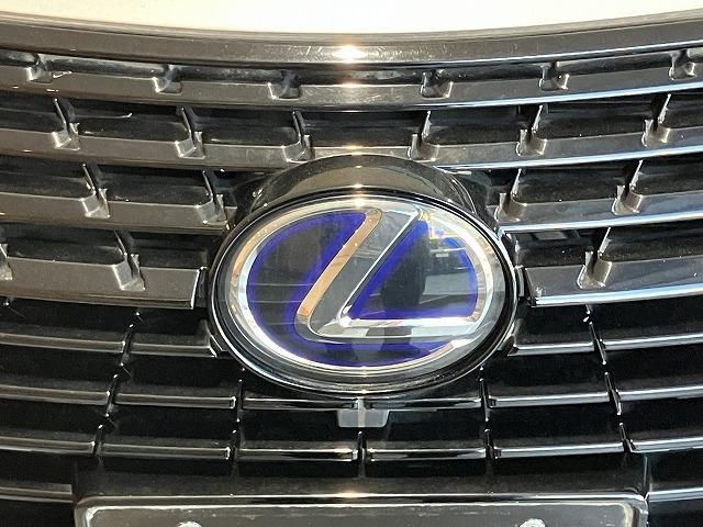 LEXUS NX300h
