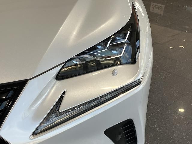 LEXUS NX300h