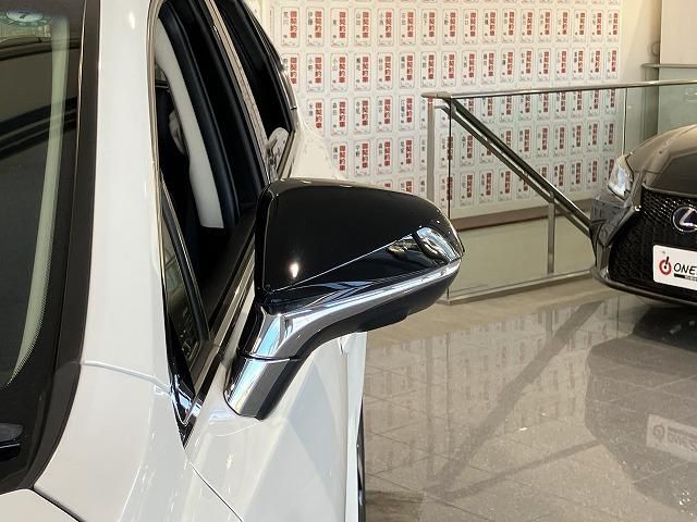 LEXUS NX300h