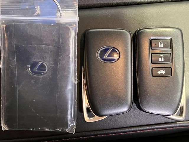 LEXUS IS300h