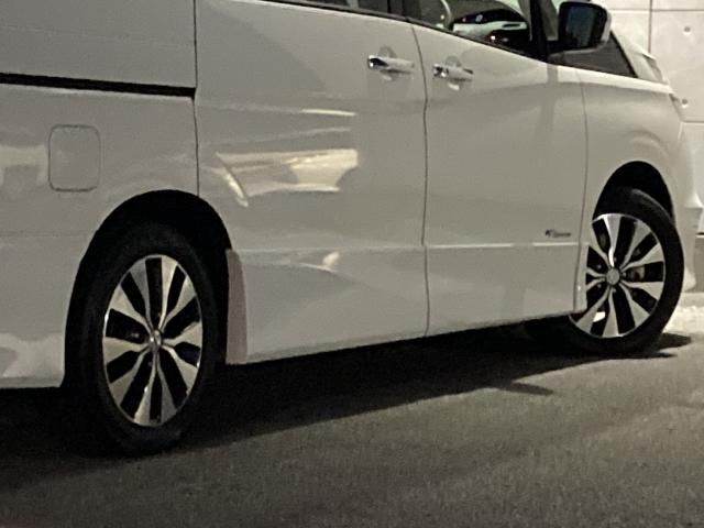 SERENA  S-HYBRID