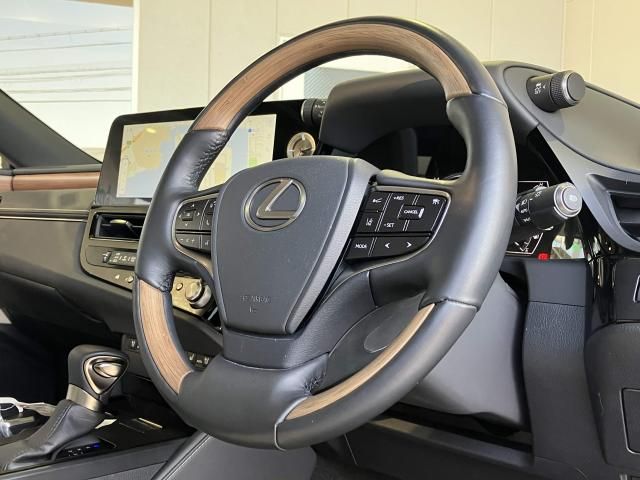 LEXUS ES300h