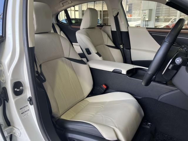 LEXUS ES300h