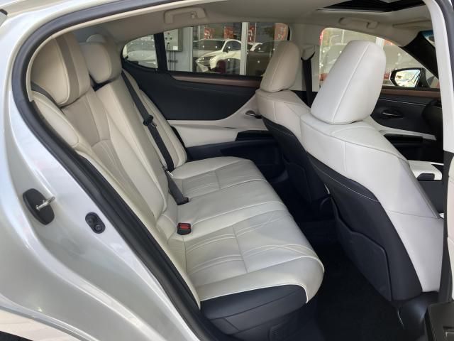 LEXUS ES300h