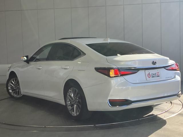 LEXUS ES300h
