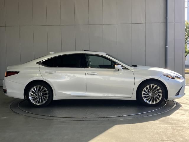LEXUS ES300h