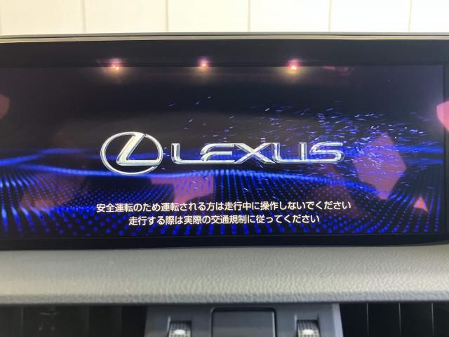 LEXUS ES300h