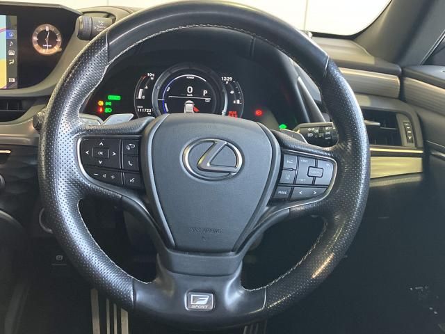 LEXUS ES300h