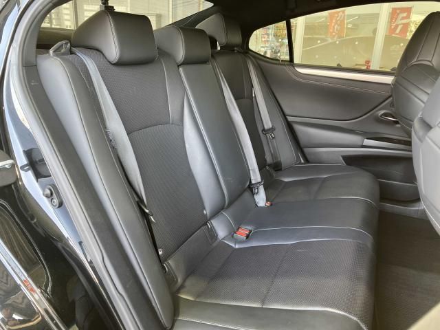LEXUS ES300h