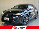 LEXUS UX250h