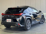 LEXUS UX250h